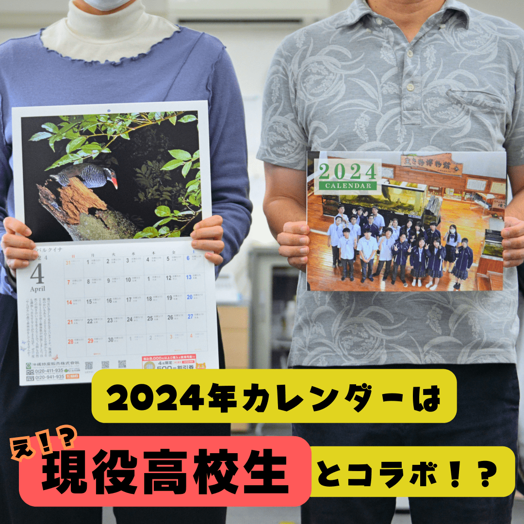 2024年カレンダーは辺土名高校とコラボカレンダー！？高校生とコラボ！？